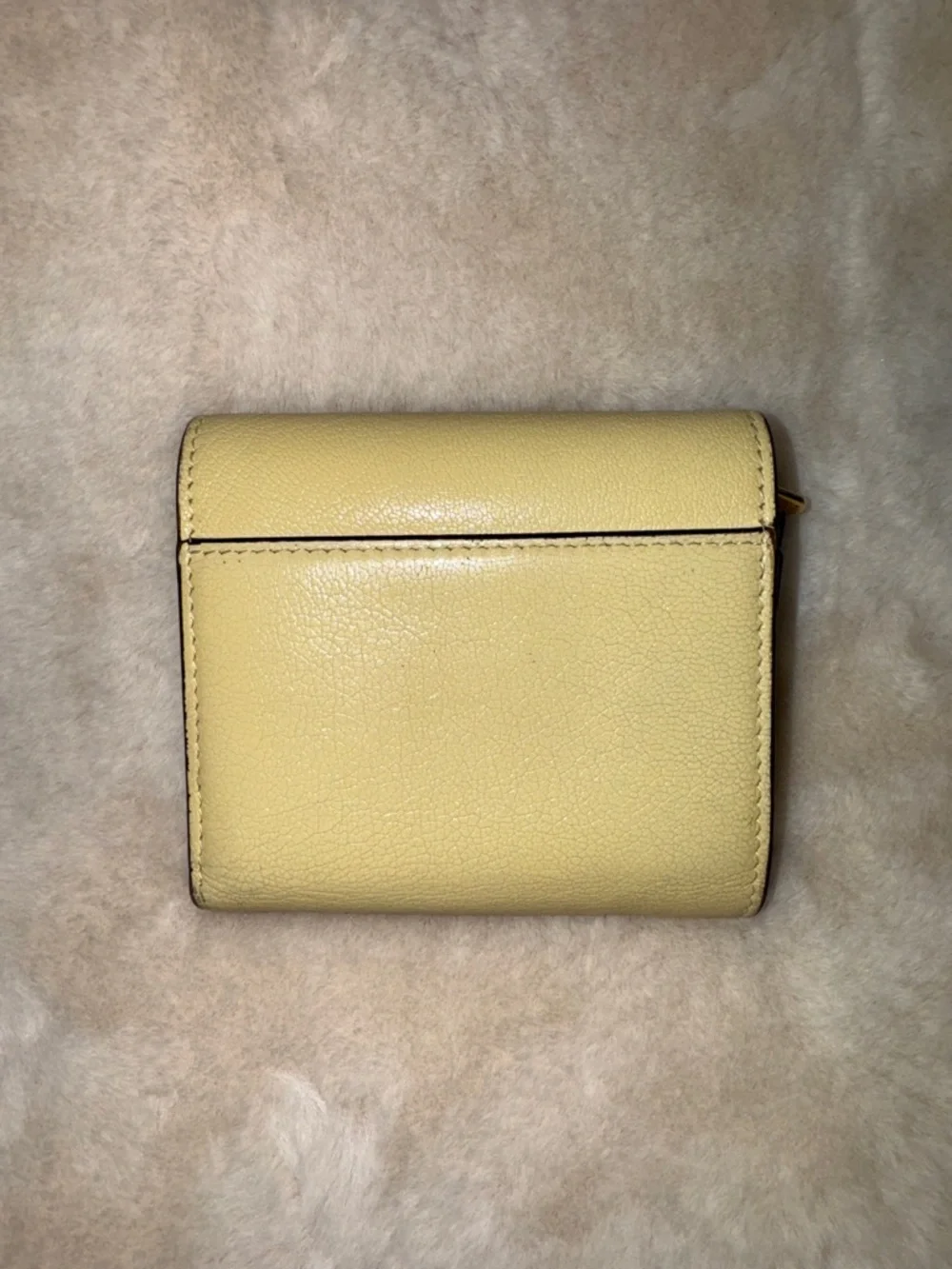 Christian Dior Mini Saddle Lotus Wallet